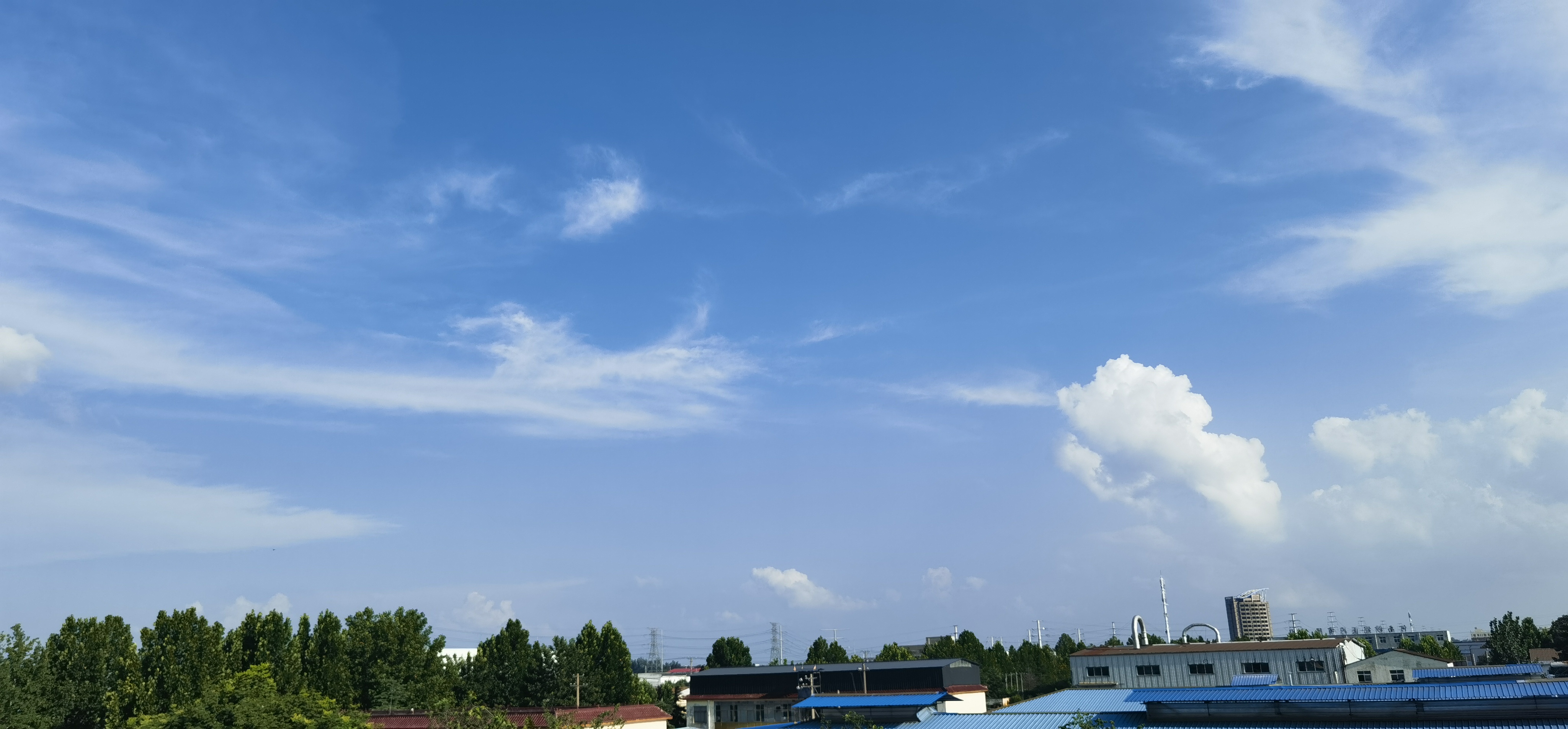 IMG_20230731_165939.jpg